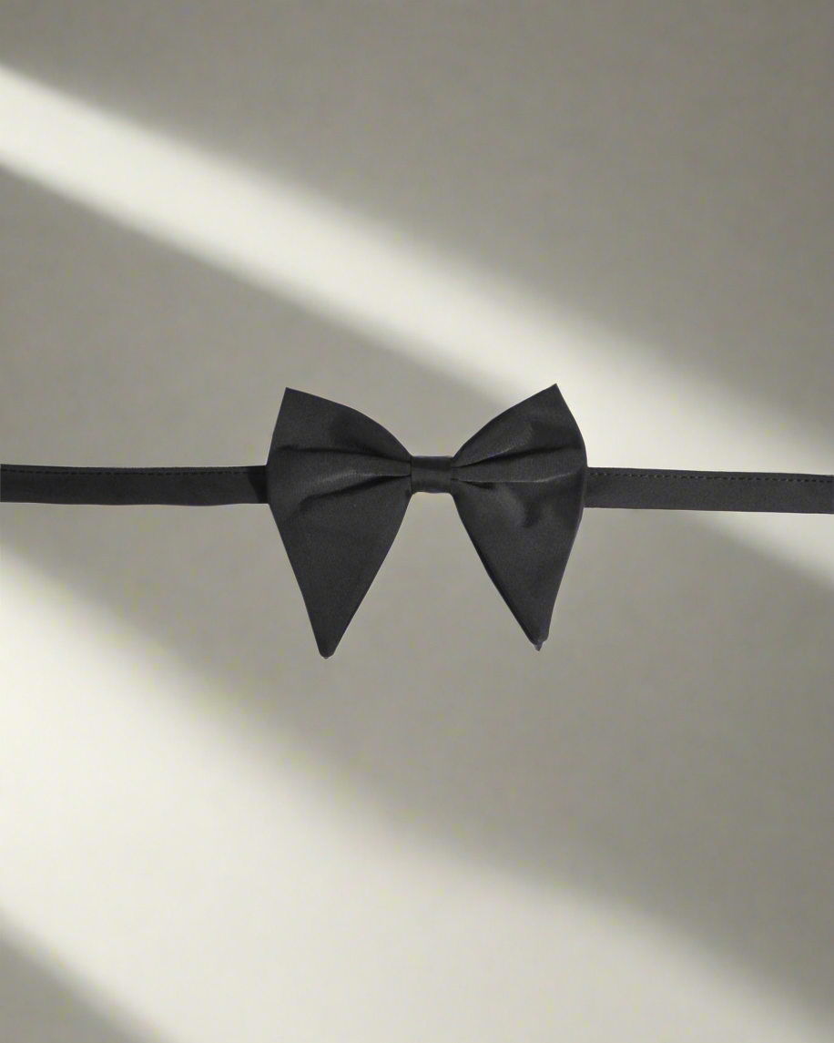 2H black Bow Tie